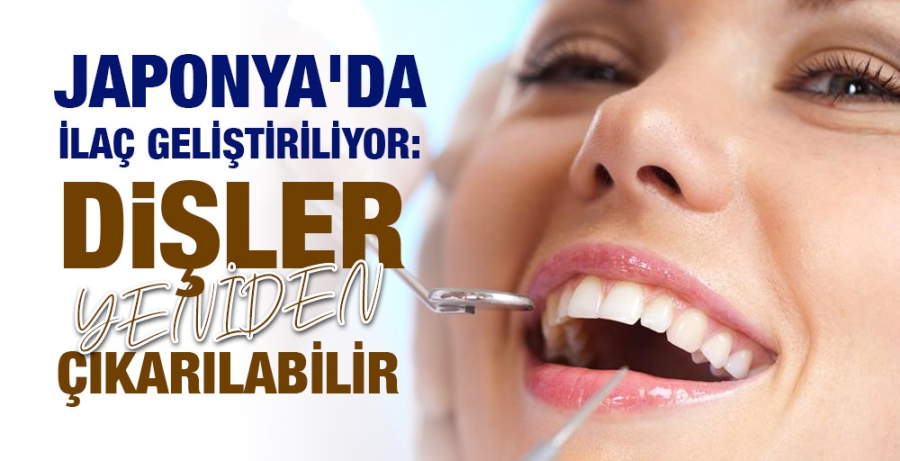 JAPONYA’DAN TIPTA DEVRİM YARATABİLECEK ÇALIŞMA: KAYBEDİLEN DİŞLER YENİDEN ÇIKABİLİR — 1. görsel